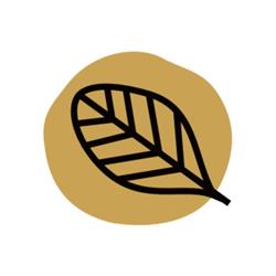 Horario de apertura Fedomari Repostería, Ensenada