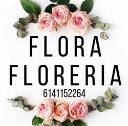 Flora Floreria en Chihuahua (Gloria) - Horario de apertura