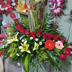 Horario de apertura Floreria Teresita, La Paz
