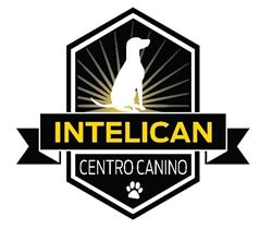 InteliCan en Veracruz (Floresta) - Horario de apertura