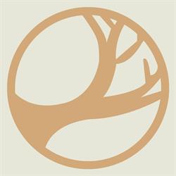 Jardin de Eventos Camichines de San Juan en San Juan Cosala (San Juan Cosalá) - Horario de apertura