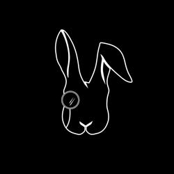 Horario de apertura Rabbit Spk, Saltillo