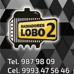 Horario de apertura RADIADORES LOBO 2, Mérida