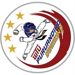 WTUPURUANDIRO DIAMOND en Puruándiro (Centro) - Horario de apertura