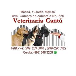 Horario de apertura Veterinaria Cantú, Mérida