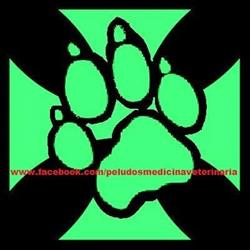 Clinica Veterinaria "P-lu-2" en Lagos de Moreno (Colinas De San Javier) - Horario de apertura