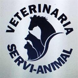 Horario de apertura Veterinaria Servi-Animal, Nueva Rosita