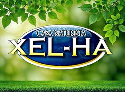 Casa Naturista Xel - Ha en Hidalgo del Parral (Hidalgo Del Parral Centro) - Horario de apertura