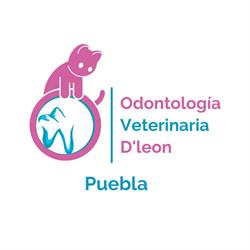 Horario de apertura Odontologia Veterinaria D'leon - Puebla, 