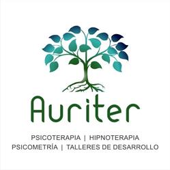 Horario de apertura Auriter, Puebla