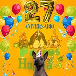 PERROS & HUELLAS en Puebla (Tres Cruces) - Horario de apertura