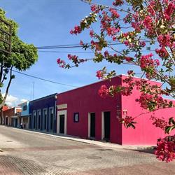 Horario de apertura La CASA AZUL de Analco, Puebla
